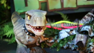 D-REX Pet Dinosaur Stalks Prey, Bites Your Sister, Doesn't Poop on the Floor